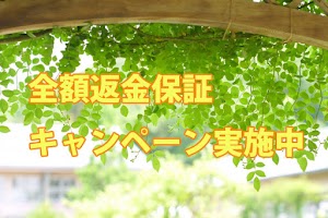 社交不安障害・パニック障害専門 - 大阪メンタルカウンセリング place picture